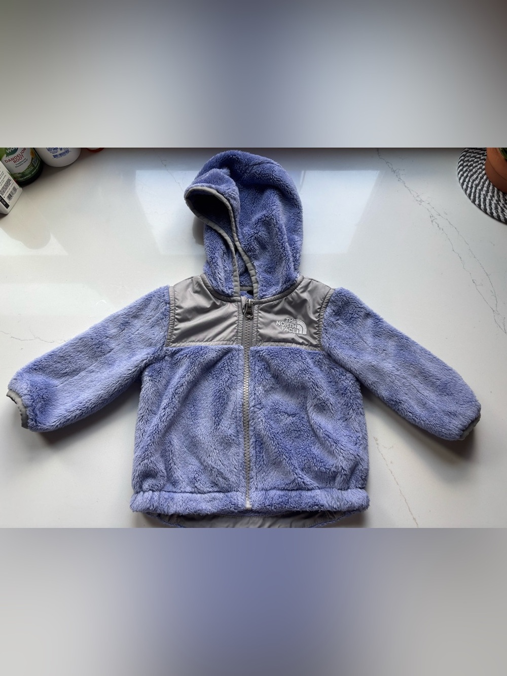 The North Face Oso Hooded Fleece Jacket
